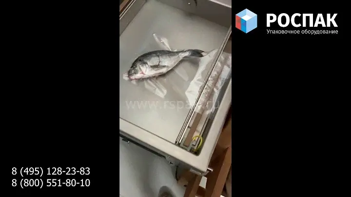Запаковка свежей рыбы в вакуумный пакет на IVP-400 2E вакуумный упаковщик пр-ва Корея